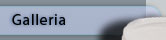 Galleria